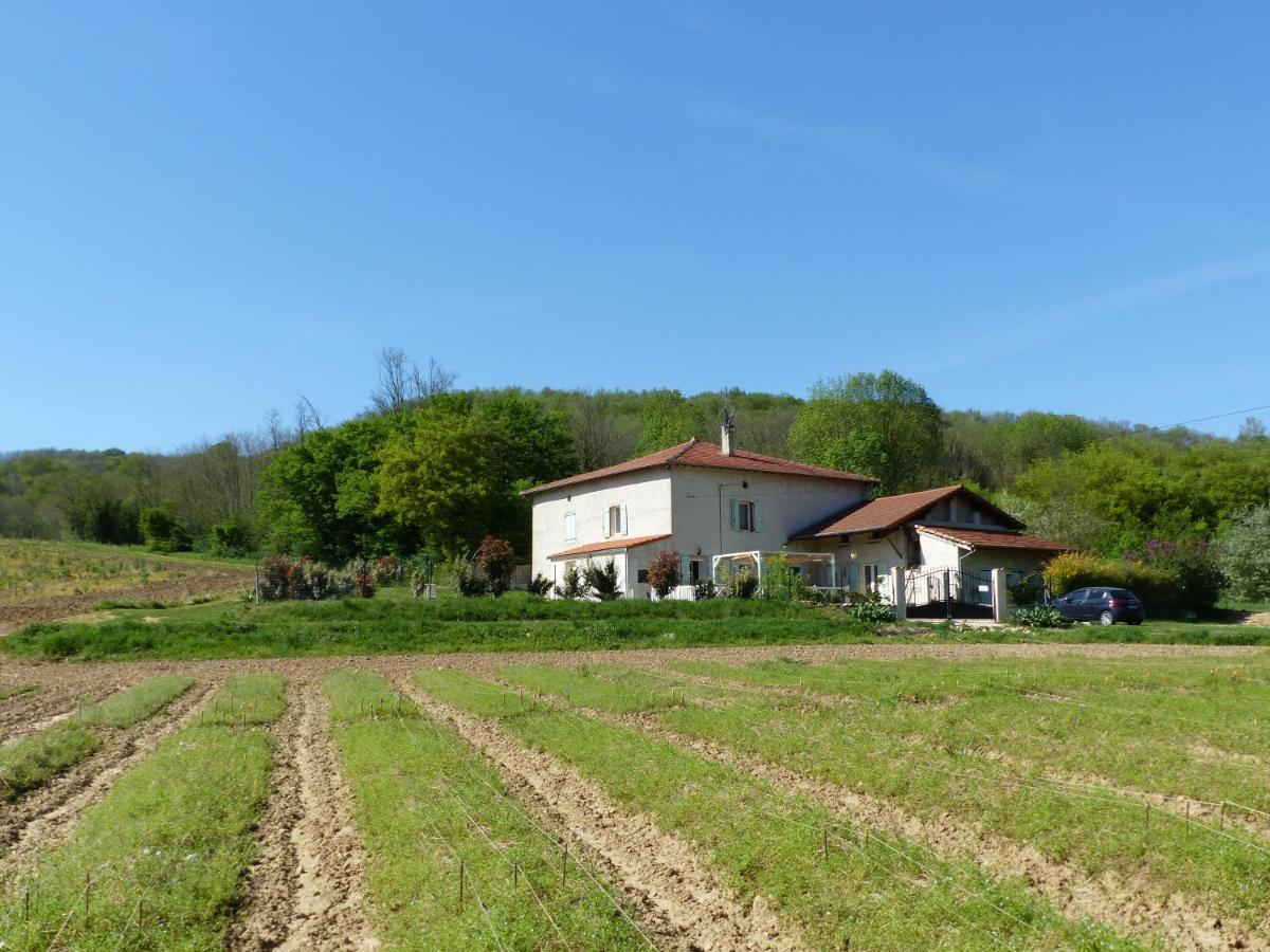 Chambre D'Hotes - Le Safran Du Val D'Or Anneyron Exteriör bild